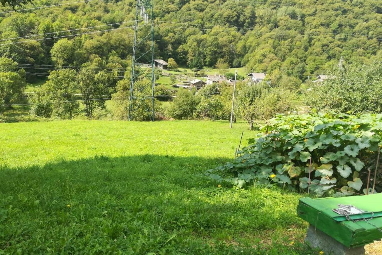 La Casetta Nel Cuore Del Parco Locana Dış mekan fotoğraf